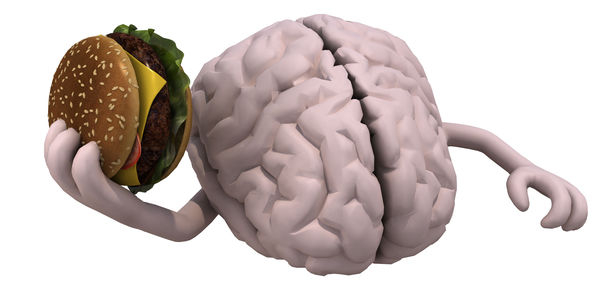 Bild zu Menarini-Preis 2016 - Wenn Nahrung das Gehirn reizt