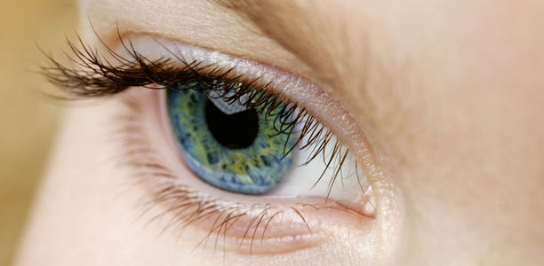 Bild zu Neue Untersuchung  - Hornhaut des Auges verrät frühzeitig Nervenschäden