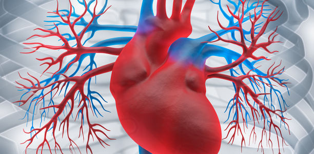 Bild zu Herzinfarktvorbeugung - Biomarker verbessert Risikobeurteilung von Patienten mit KHK