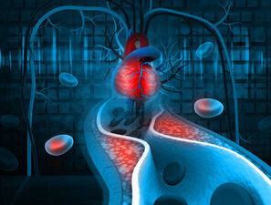 Bild zu Wechselwirkung - Herz-Chirurgie und kardiologische Reha