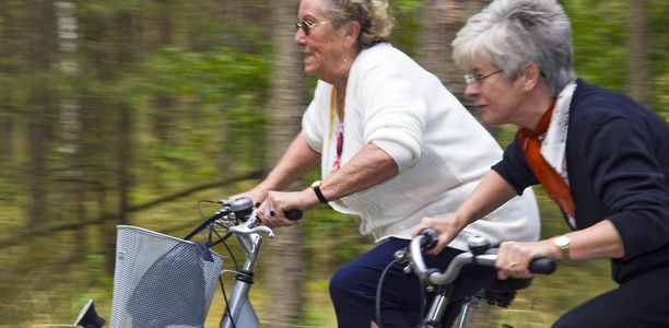 Bild zu Bewegung - Mit mehr Körperlicher Aktivität gegen das Metabolische Syndrom