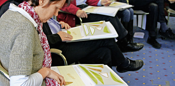 Bild zu Diabetesschulung 2013 - Evidenz der Diabetesschulung