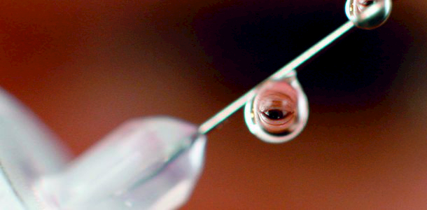 Bild zu Insulinwirkung - Insulin verändert im Gehirn die Bewertung von Essensreizen