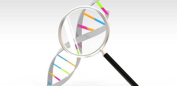 Bild zu Epigenetik - Lebensstil beeinflusst den Stoffwechsel über verändertes Erbgut