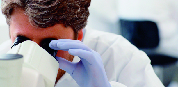 Bild zu Diabetes-Therapie - Neues Hormon entdeckt - neue Therapieansätze möglich?