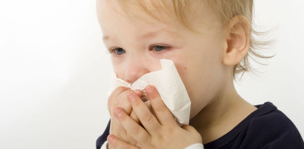 Bild zu Typ-1-Diabetes - Molekulare Hinweise auf eine bevorstehende Krankheitsentstehung gefunden