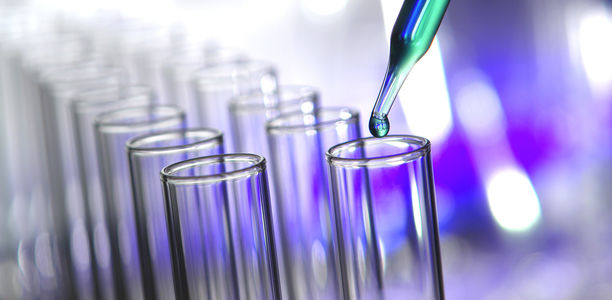 Bild zu Antikörpertherapie - Inselzellfunktion mit Teplizumab erhalten