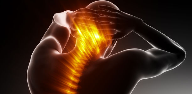 Bild zu Gesunder Rücken - Ein bewegter Alltag hilft