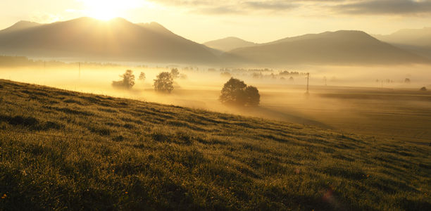 Bild zu ABATACEPT-Studie: - Diabetes schon im Vorläuferstadium stoppen?