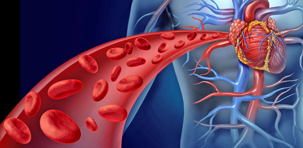 Bild zu Schwerpunkt - Diabetes und Gefäßerkrankungen