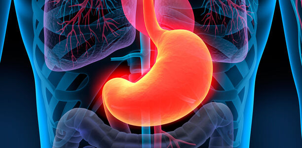 Bild zu Endoskopie - Endoskopische Therapie der Adipositas