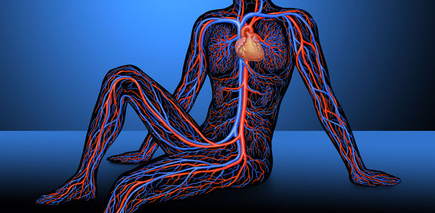 Bild zu CVOT Summit 2017 - Experten aus aller Welt diskutieren über kardiovaskuläre Endpunktstudien