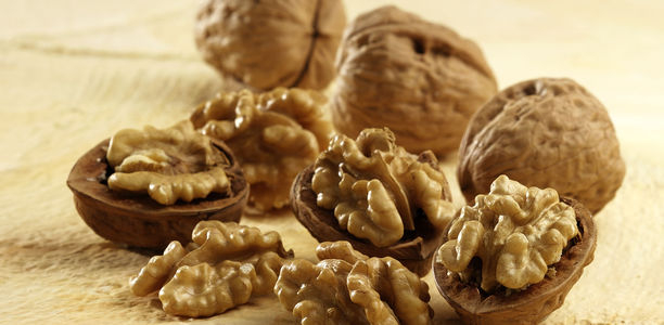 Bild zu Effects of walnut - Effects on Islet Regeneration and Glucokinase Activity