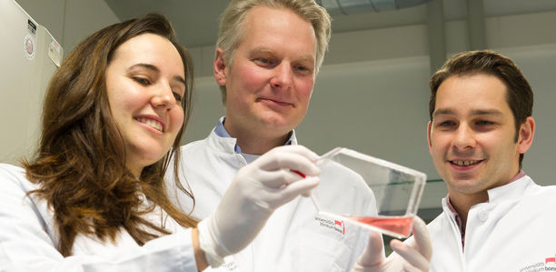 Bild zu Inflammation - Wie das „gute Cholesterin“ Entzündungen stoppt