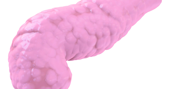 Bild zu Pankreas - Bauchspeicheldrüsenkrebs - Das Risiko schon vor Ausbruch der Krankheit erkennen