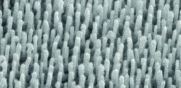 Bild zu Technologie - Blutzuckermessung mittels Smartphone