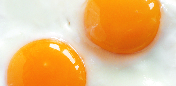 Bild zu Tag des Cholesterins - Wie Diabetes-Patienten ihre Cholesterinwerte senken können