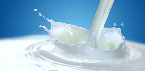 Bild zu Stoffwechsel - Milchzucker kann Leben retten: Forscherteam entschlüsselt Stoffwechselkrankheit