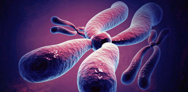 Bild zu Genetik - Risikogene für Eiweißausscheidung im Urin von Diabetikern identifiziert