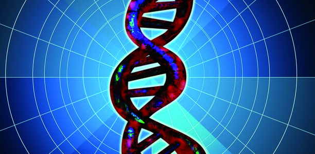 Bild zu Adipositas - Die Gene sind schuld