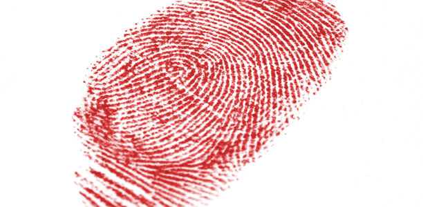 Bild zu Telemedizin - KADIS®: ein System, das verbindet