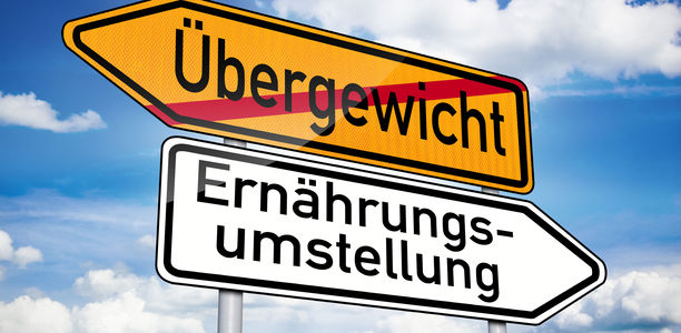 Bild zu Adipositas - Energiedichte statt Blitzdiäten