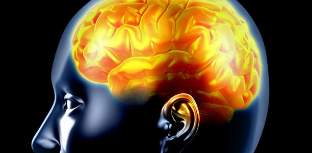 Bild zu  Typ-2-Diabetes  - Einfluss von Diabetes auf das Gehirn bislang unterschätzt