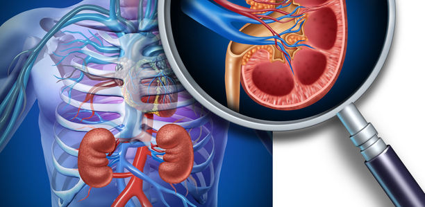 Bild zu Laktatazidose - Die Metformin-Initiative