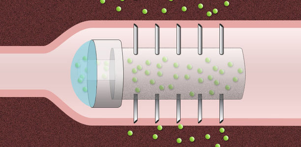 Bild zu Forschungsansatz - Insulin aus der Kapsel?