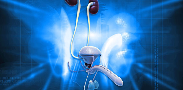 Bild zu Autonome Neuropathie - Nervenschädigung im Urogenitalbereich