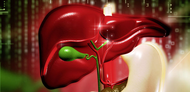 Bild zu Leberzellkrebs - Eine gesunde Ernährung kann Leberzellkrebs vermeiden