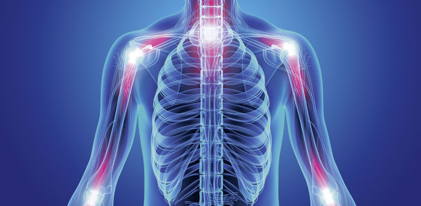 Bild zu Osteoporose - Definition und Diagnostik