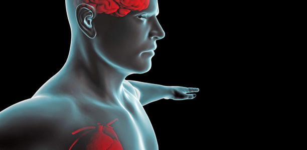 Bild zu Prävention - Schlaganfall und Diabetes: Was ist zu tun?