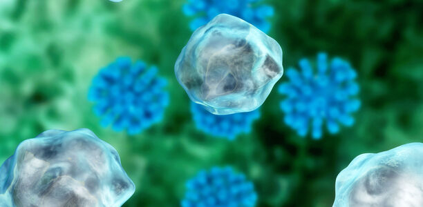 Bild zu Kunststück gelungen - Aus Fettzellen entstehen funktionsfähige Beta-Zellen