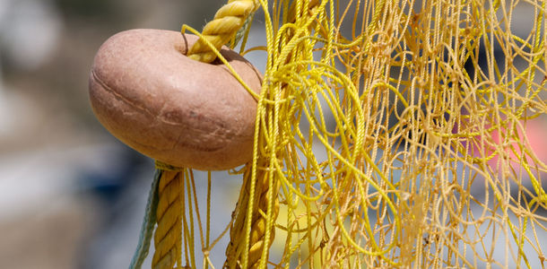 Bild zu Forschung - Amyloidplaques bei Alzheimer und Diabetes: Neue Leitstrukturen für Hemmstoffe