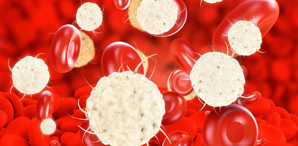 Bild zu Begleiterkrankungen - Lipid-Stoffwechselstörungen