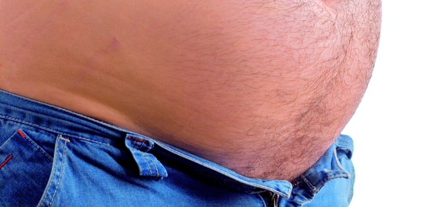 Bild zu Dünndarm - Rolle des Dünndarms bei Fettleibigkeit