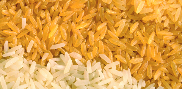Bild zu Zöliakie - Reis und Reisprodukte häufig mit Arsen belastet