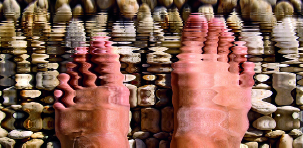 Bild zu Verband - Neues Erscheinungsbild für den ZFD