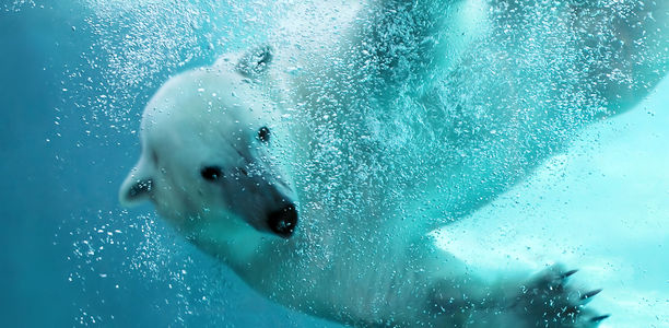 Bild zu STEMI - Mehr Herzinfarkte bei kaltem Wetter