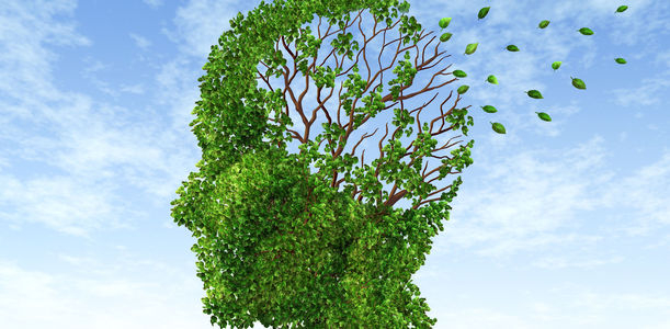 Bild zu Weltalzheimertag 2015 - Zusammenhänge erforschen, Demenz vorbeugen