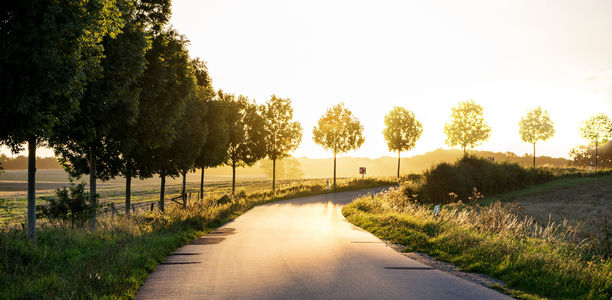 Bild zu Retinopathie - Erblindungsrisiko bei Menschen mit und ohne Diabetes deutlich gesunken