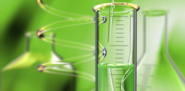 Bild zu Forschung - Mini-Darm aus dem Reagenzglas für die Ernährungsforschung