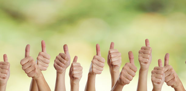 Bild zu  Netzwerk-Meta-Analyse - Liraglutid zeigte eine bessere Blutzuckerkontrolle als SGLT-2 Inhibitoren