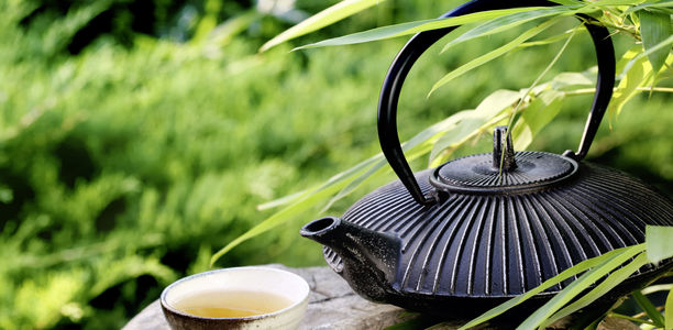 Bild zu  Niereninsuffizienz - Gut für Herz und Kreislauf - grüner Tee und dunkle Schokolade