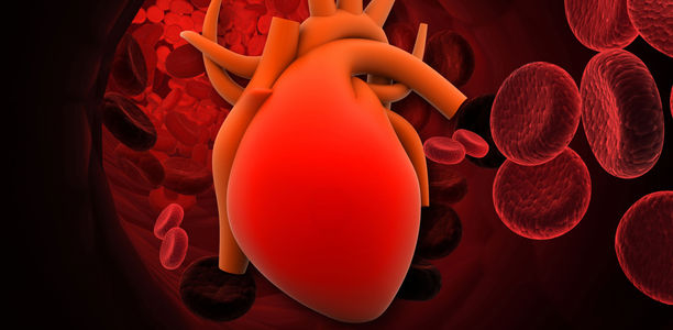 Bild zu Studienergebnisse - Herzinsuffizienz – der neue Endpunkt