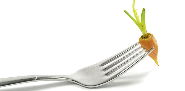 Bild zu Lebererkrankungen - Wie Fasten gegen Fettleber hilft