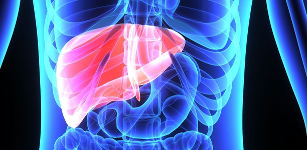 Bild zu Fallbesprechung - Differentialdiagnostik eines Leberschadens bei Diabetes