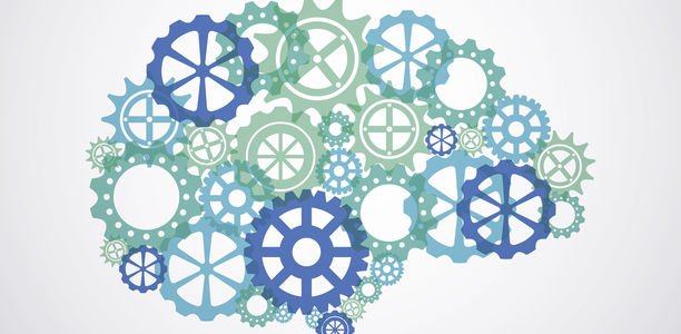 Bild zu Stützzellen - Schalter für Zuckertransport ins Gehirn entdeckt