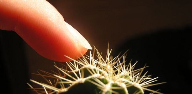 Bild zu Diabetischer Fuß - Neue Hoffnung für verbesserte Wundheilung